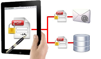 PDF Form Database